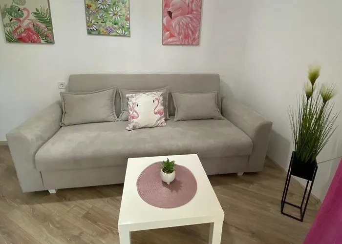 за гости деница 오브조르